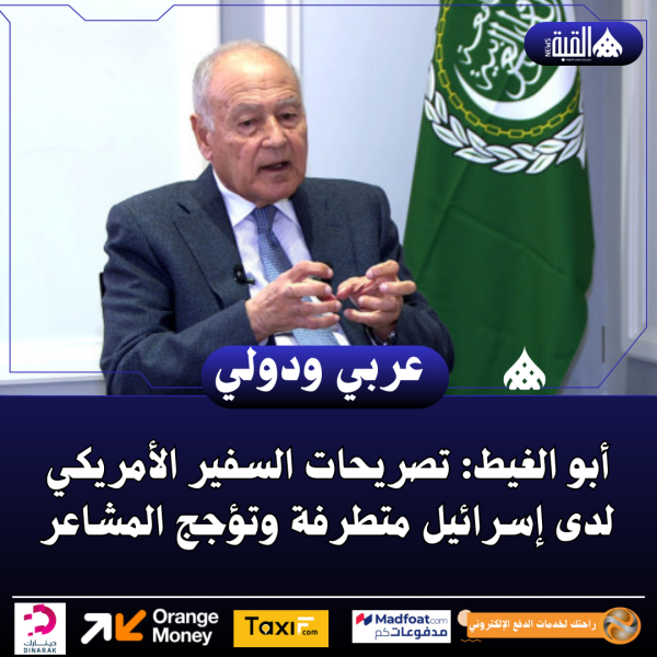 أبو الغيط: تصريحات السفير الأمريكي لدى إسرائيل متطرفة وتؤجج المشاعر