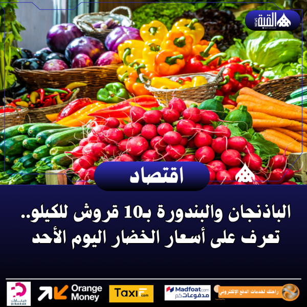 الباذنجان والبندورة بـ10 قروش للكيلو.. تعرف على أسعار الخضار اليوم الأحد
