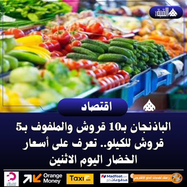 الباذنجان بـ10 قروش والملفوف بـ5 قروش للكيلو.. تعرف على أسعار الخضار اليوم الاثنين