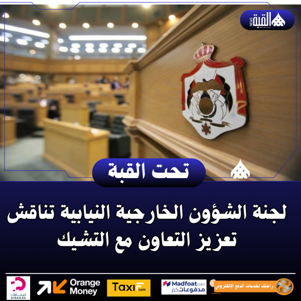 لجنة الشؤون الخارجية النيابية تناقش تعزيز التعاون مع التشيك