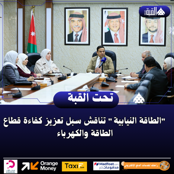 الطاقة النيابية تناقش سبل تعزيز كفاءة قطاع الطاقة والكهرباء