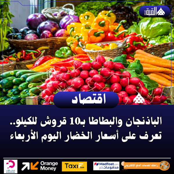 الباذنجان والبطاطا بـ10 قروش للكيلو.. تعرف على أسعار الخضار اليوم الأربعاء
