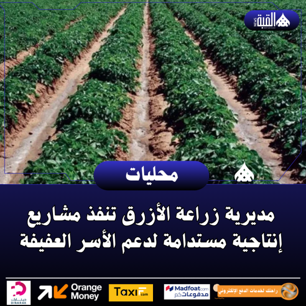 مديرية زراعة الأزرق تنفذ مشاريع إنتاجية مستدامة لدعم الأسر العفيفة