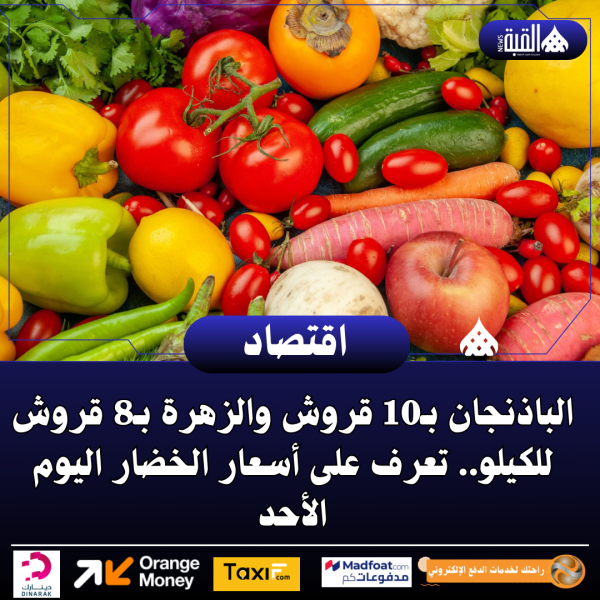 الباذنجان بـ10 قروش والزهرة بـ8 قروش للكيلو.. تعرف على أسعار الخضار اليوم الأحد