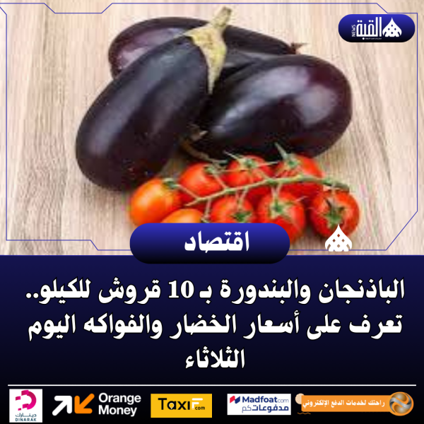 الباذنجان والبندورة بـ 10 قروش للكيلو.. تعرف على أسعار الخضار والفواكه اليوم الثلاثاء
