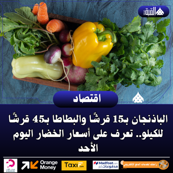 الباذنجان بـ15 قرشًا والبطاطا بـ45 قرشًا للكيلو.. تعرف على أسعار الخضار اليوم الأحد
