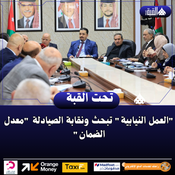 العمل النيابية تبحث ونقابة الصيادلة معدل الضمان