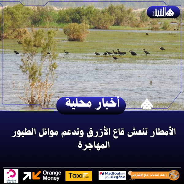 الأمطار تنعش قاع الأزرق وتدعم موائل الطيور المهاجرة