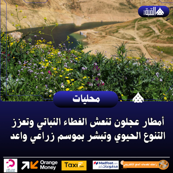 أمطار عجلون تنعش الغطاء النباتي وتعزز التنوع الحيوي وتبشر بموسم زراعي واعد