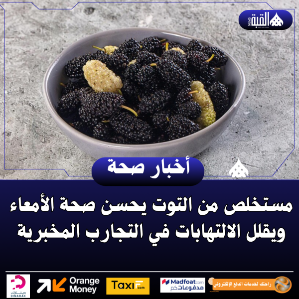 مستخلص من التوت يحسن صحة الأمعاء ويقلل الالتهابات في التجارب المخبرية