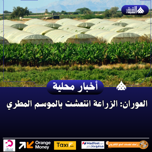 العوران: الزراعة انتعشت بالموسم المطري