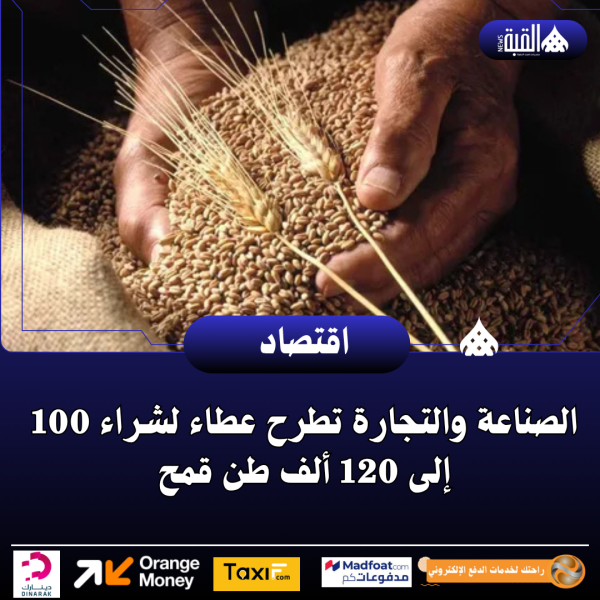 الصناعة والتجارة تطرح عطاء لشراء 100 إلى 120 ألف طن قمح