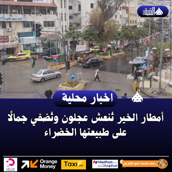 أمطار الخير تُنعش عجلون وتُضفي جمالًا على طبيعتها الخضراء ...فيديو