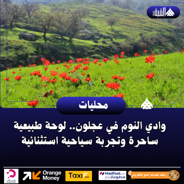 وادي النوم في عجلون.. لوحة طبيعية ساحرة وتجربة سياحية استثنائية