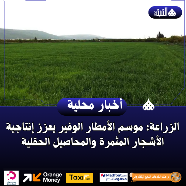 الزراعة: موسم الأمطار الوفير يعزز إنتاجية الأشجار المثمرة والمحاصيل الحقلية