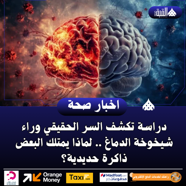 دراسة تكشف السر الحقيقي وراء شيخوخة الدماغ .. لماذا يمتلك البعض ذاكرة حديدية؟