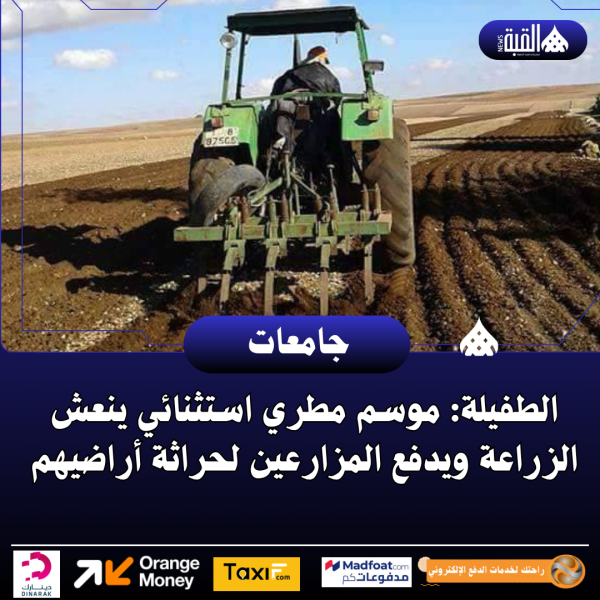 الطفيلة: موسم مطري استثنائي ينعش الزراعة ويدفع المزارعين لحراثة أراضيهم