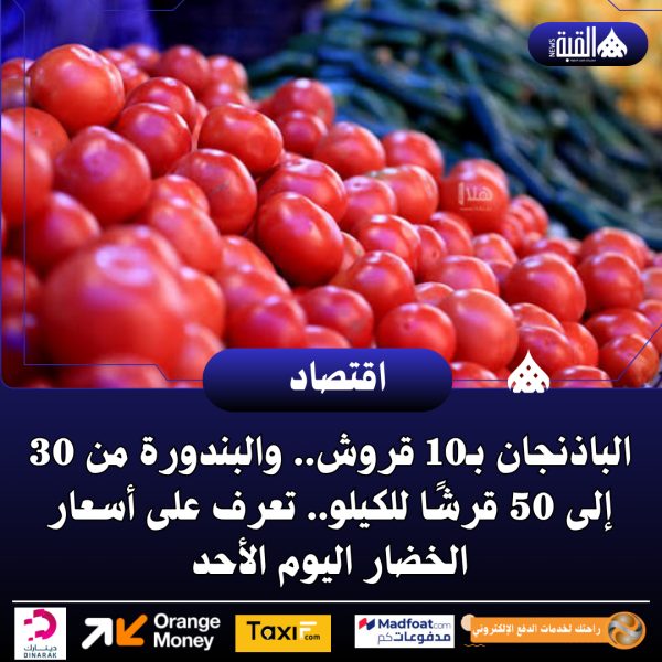 الباذنجان بـ10 قروش.. والبندورة من 30 إلى 50 قرشًا للكيلو.. تعرف على أسعار الخضار اليوم الأحد
