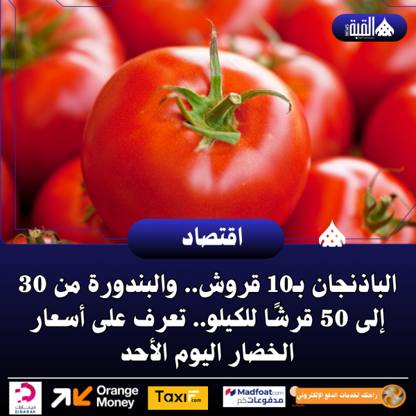 الباذنجان بـ10 قروش.. والبندورة من 30 إلى 50 قرشًا للكيلو.. تعرف على أسعار الخضار اليوم الأحد
