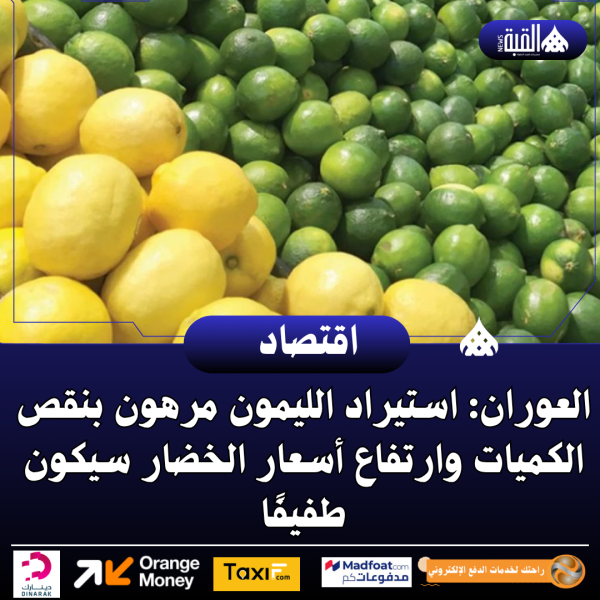 العوران: استيراد الليمون مرهون بنقص الكميات وارتفاع أسعار الخضار سيكون طفيفًا