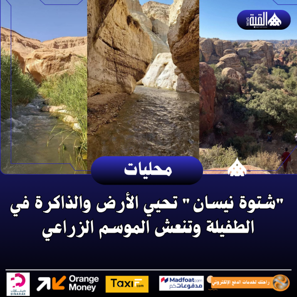 شتوة نيسان تحيي الأرض والذاكرة في الطفيلة وتنعش الموسم الزراعي