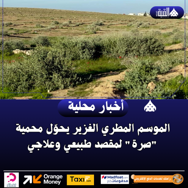 الموسم المطري الغزير يحوّل محمية صرة لمقصد طبيعي وعلاجي