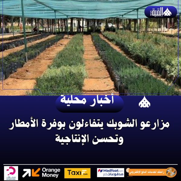 مزارعو الشوبك يتفاءلون بوفرة الأمطار وتحسن الإنتاجية