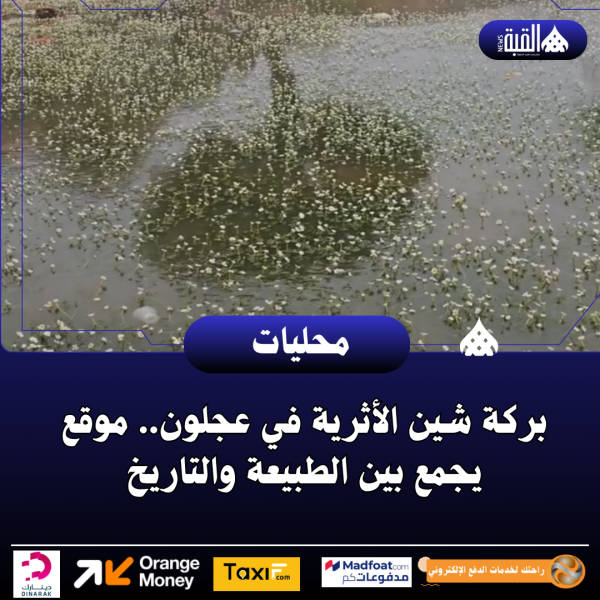 بركة شين الأثرية في عجلون.. موقع يجمع بين الطبيعة والتاريخ