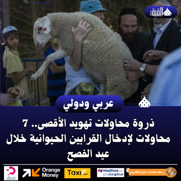 ذروة محاولات تهويد الأقصى.. 7 محاولات لإدخال القرابين الحيوانية خلال عيد الفصح