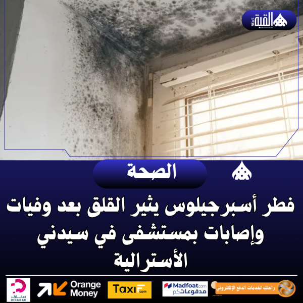 فطر أسبرجيلوس يثير القلق بعد وفيات وإصابات بمستشفى في سيدني الأسترالية