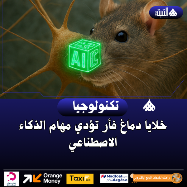 خلايا دماغ فأر تؤدي مهام الذكاء الاصطناعي