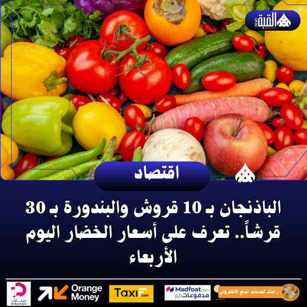 الباذنجان بـ 10 قروش والبندورة بـ 30 قرشاً.. تعرف على أسعار الخضار اليوم الأربعاء