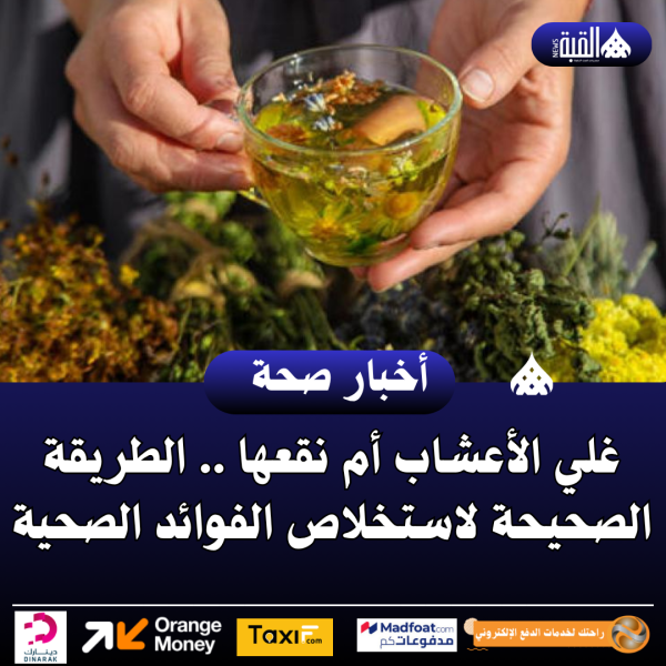 غلي الأعشاب أم نقعها .. الطريقة الصحيحة لاستخلاص الفوائد الصحية