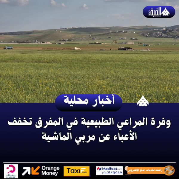 وفرة المراعي الطبيعية في المفرق تخفف الأعباء عن مربي الماشية