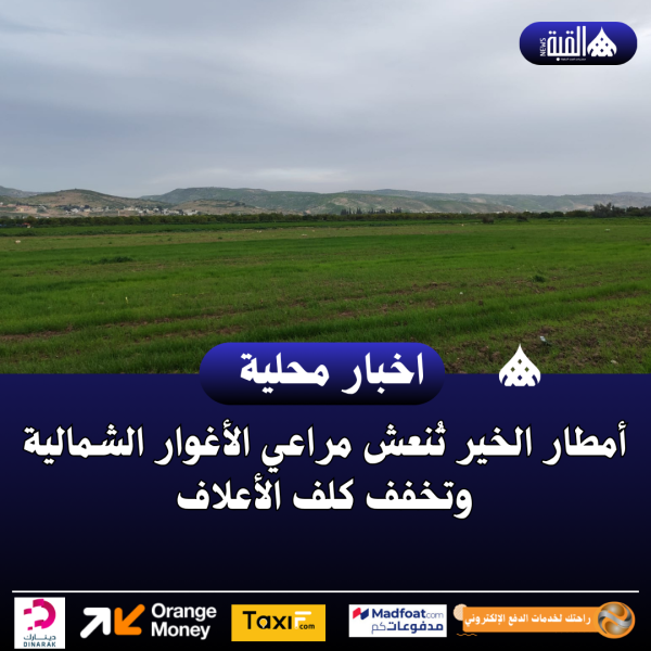 أمطار الخير تُنعش مراعي الأغوار الشمالية وتخفف كلف الأعلاف