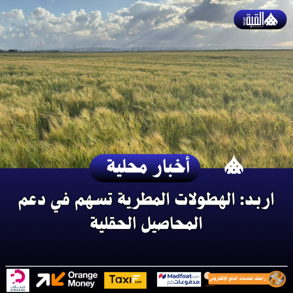 اربـد: الهطولات المطرية تسهم في دعم المحاصيل الحقلية