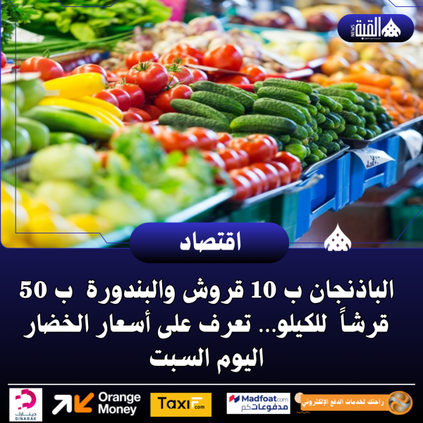 الباذنجان ب 10 قروش والبندورة ب 50 قرشاً للكيلو… تعرف على أسعار الخضار اليوم السبت
