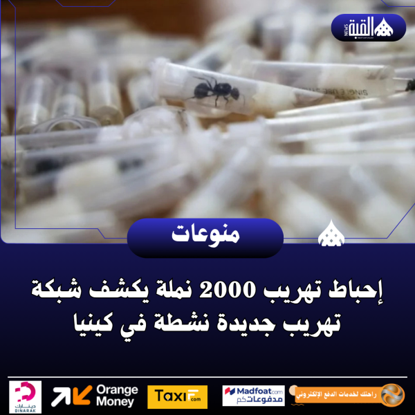 إحباط تهريب 2000 نملة يكشف شبكة تهريب جديدة نشطة في كينيا