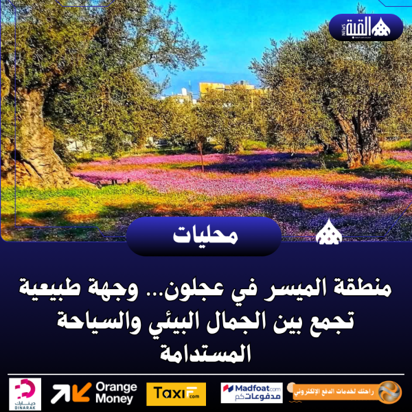 منطقة الميسر في عجلون… وجهة طبيعية تجمع بين الجمال البيئي والسياحة المستدامة