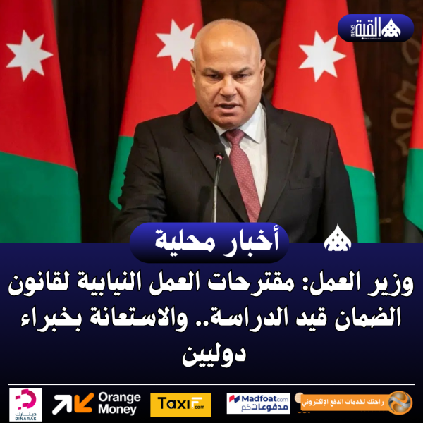 وزير العمل: مقترحات العمل النيابية لقانون الضمان قيد الدراسة.. والاستعانة بخبراء دوليين