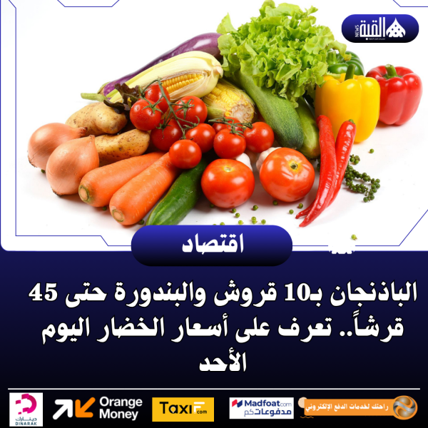 الباذنجان بـ10 قروش والبندورة حتى 45 قرشاً.. تعرف على أسعار الخضار اليوم الأحد