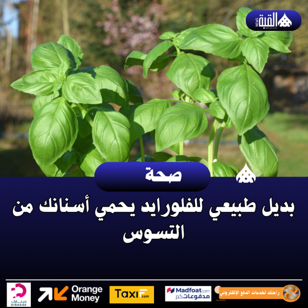 بديل طبيعي للفلورايد يحمي أسنانك من التسوس