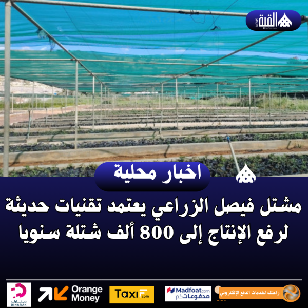 مشتل فيصل الزراعي يعتمد تقنيات حديثة لرفع الإنتاج إلى 800 ألف شتلة سنويا