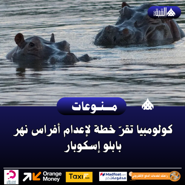 كولومبيا تقرّ خطة لإعدام أفراس نهر بابلو إسكوبار