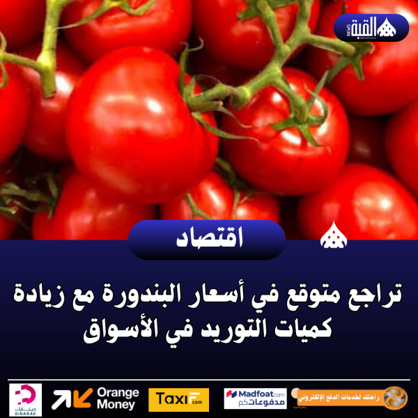 تراجع متوقع في أسعار البندورة مع زيادة كميات التوريد في الأسواق