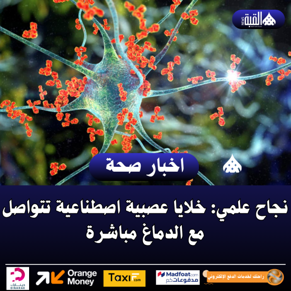 نجاح علمي: خلايا عصبية اصطناعية تتواصل مع الدماغ مباشرة