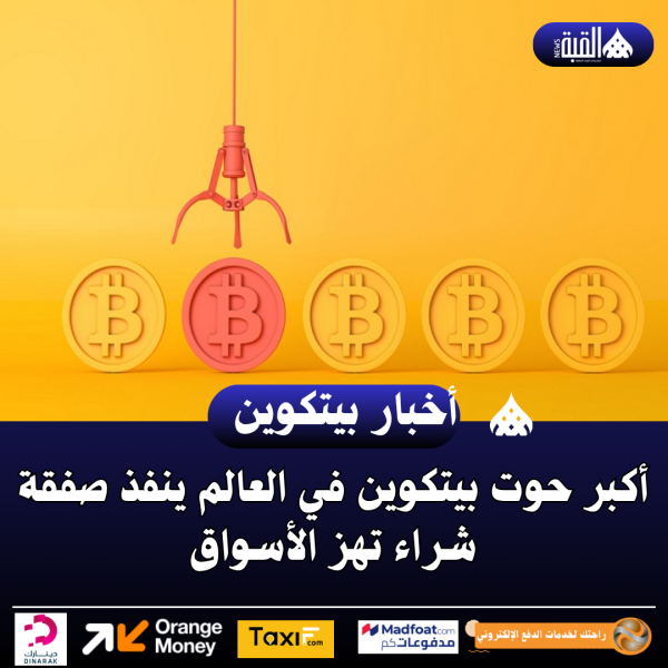 أكبر حوت بيتكوين في العالم ينفذ صفقة شراء تهز الأسواق