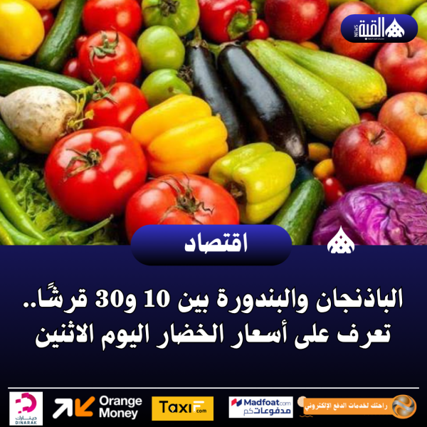 الباذنجان والبندورة بين 10 و30 قرشًا.. تعرف على أسعار الخضار اليوم الاثنين