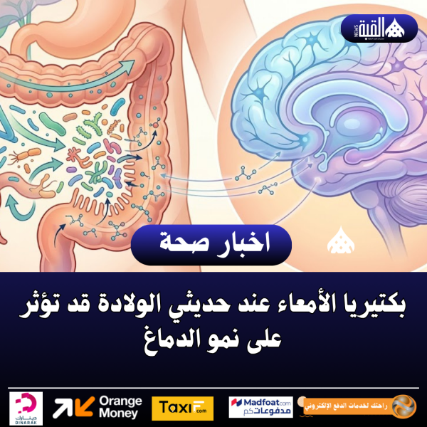 بكتيريا الأمعاء عند حديثي الولادة قد تؤثر على نمو الدماغ