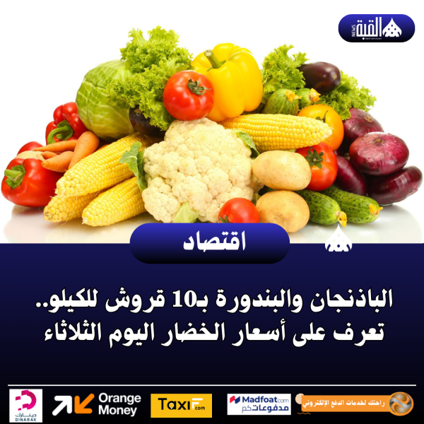 الباذنجان والبندورة بـ10 قروش للكيلو.. تعرف على أسعار الخضار اليوم الثلاثاء